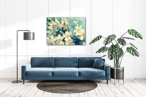 Bild Blue background cherry blossom - 70 x 50 cm