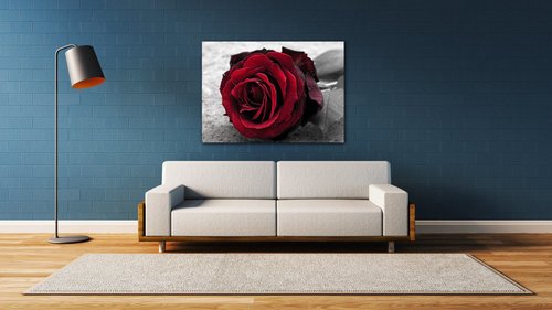 Bild Red rose black and white background - 70 x 50 cm