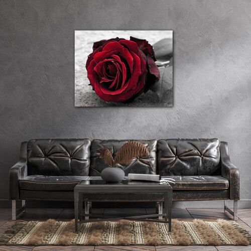 Bild Red rose black and white background - 90 x 70 cm