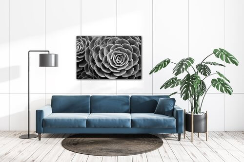 Bild Black and white blossom - 90 x 60 cm