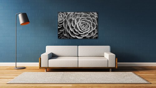 Bild Black and white blossom - 90 x 60 cm