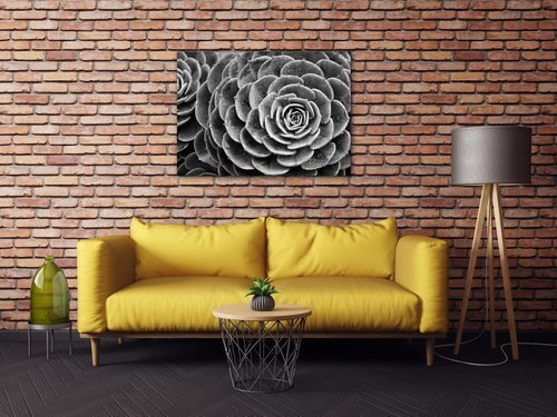 Bild Black and white blossom - 70 x 50 cm