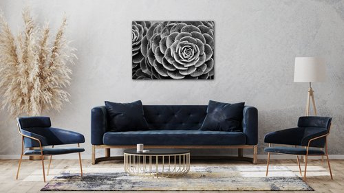 Bild Black and white blossom - 70 x 50 cm