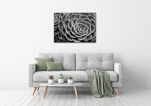 Bild Black and white blossom - 70 x 50 cm