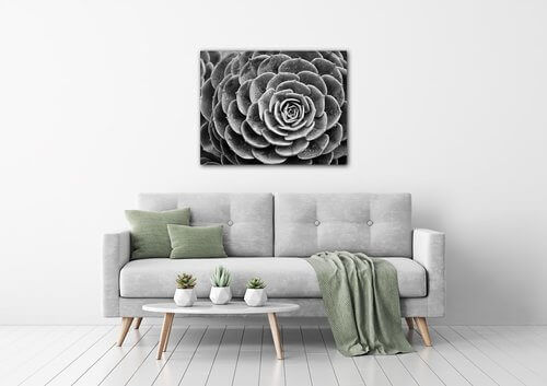 Bild Black and white blossom - 90 x 70 cm
