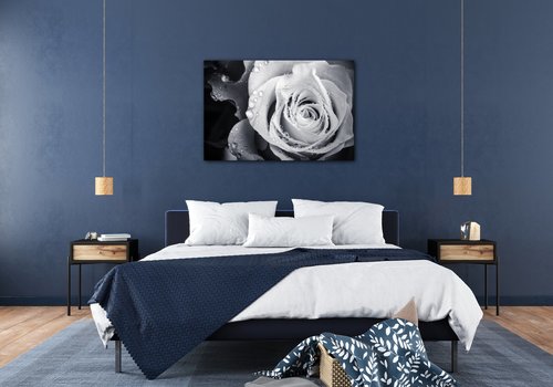 Bild Black and white rose with drops of water - 90 x 60 cm