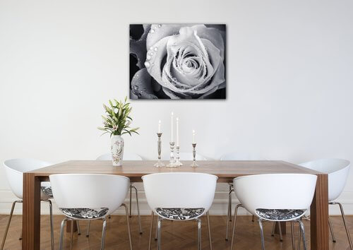 Bild Black and white rose with drops of water - 90 x 70 cm