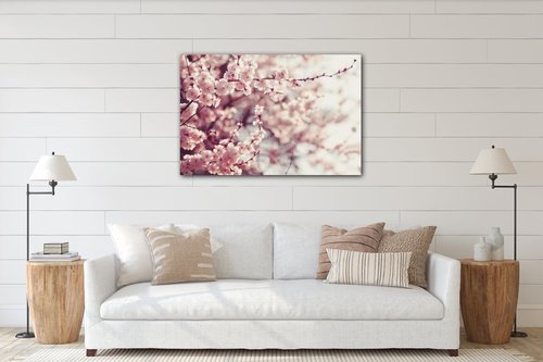 Bild Light pink blossom on the tree - 60 x 40 cm