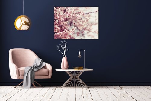 Bild Light pink blossom on the tree - 70 x 50 cm
