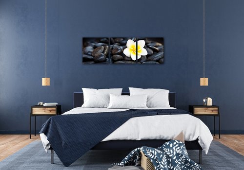 Bild White blossom on black stones - 90 x 30 cm (3-teiliges)