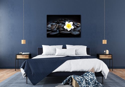 Bild White blossom on black stones - 90 x 60 cm