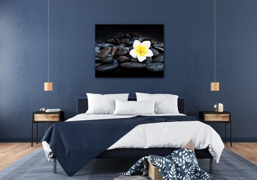 Bild White blossom on black stones - 90 x 70 cm