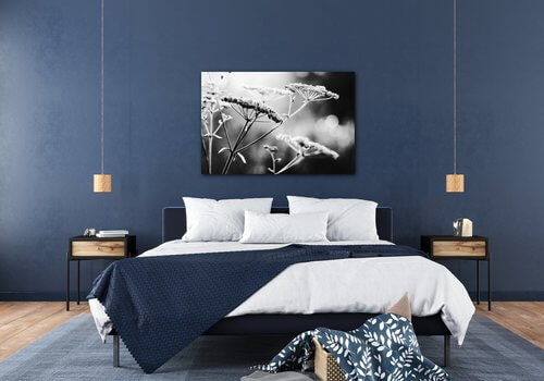 Bild Black and white meadow flower - 90 x 60 cm