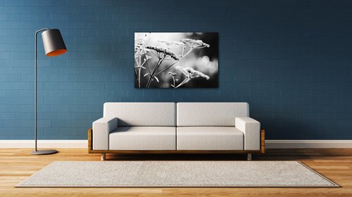 Bild Black and white meadow flower - 90 x 60 cm