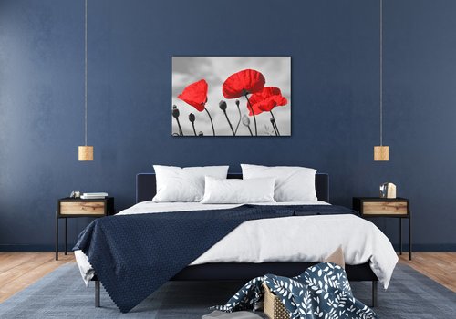 Bild Poppy - 90 x 60 cm
