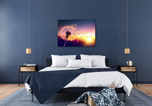 Bild Dandelion and sunset - 70 x 50 cm