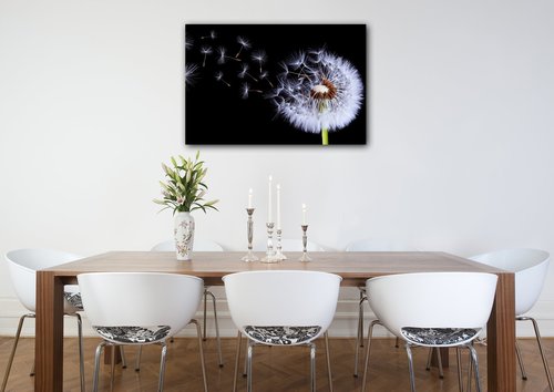 Bild Dandelion black and green - 60 x 40 cm