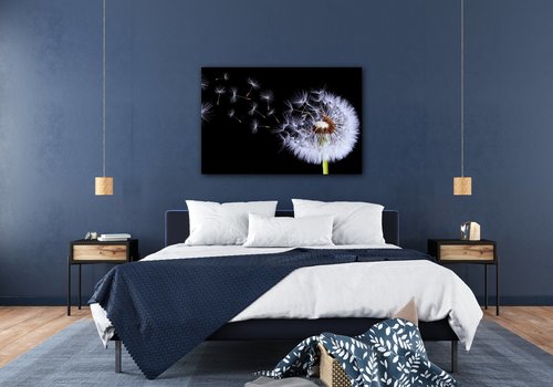 Bild Dandelion black and green - 60 x 40 cm