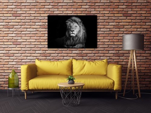 Bild Lion black and white - 90 x 60 cm