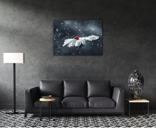 Bild Lady bug on the flower - 70 x 50 cm