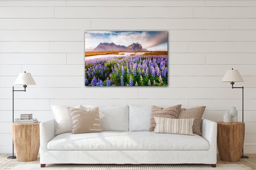 Bild Lila blossoming flowers - 90 x 60 cm