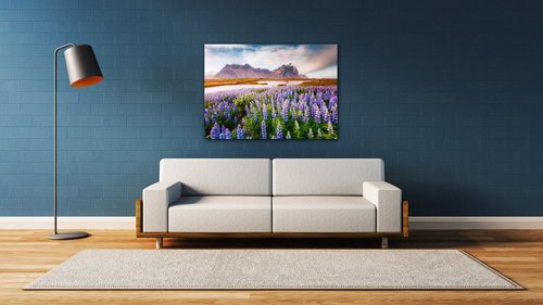 Bild Lila blossoming flowers - 70 x 50 cm