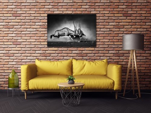 Bild Antilopes black and white - 90 x 60 cm