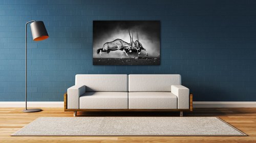 Bild Antilopes black and white - 90 x 60 cm