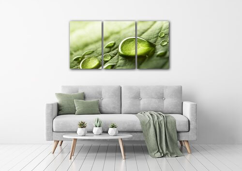 Bild Drops of water on the leaf - 120 x 60 cm (3-teiliges)