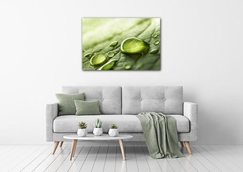 Bild Drops of water on the leaf - 90 x 60 cm