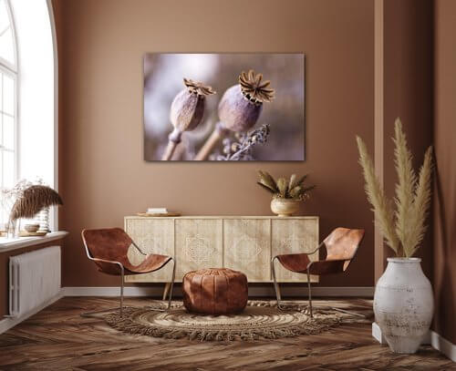 Bild Dry Poppy flower - 60 x 40 cm