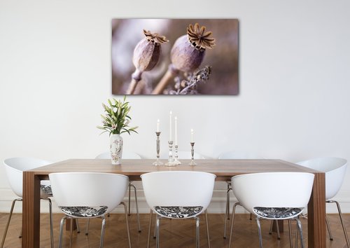 Bild Dry Poppy flower - 50 x 30 cm