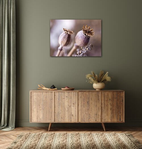 Bild Dry Poppy flower - 70 x 50 cm