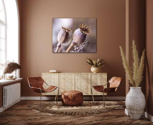 Bild Dry Poppy flower - 90 x 70 cm