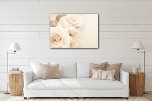 Bild White roses - 70 x 50 cm