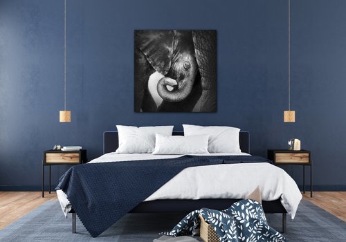 Bild Elephant black and white - 90 x 90 cm
