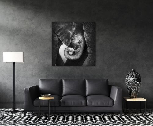 Bild Elephant black and white - 90 x 90 cm