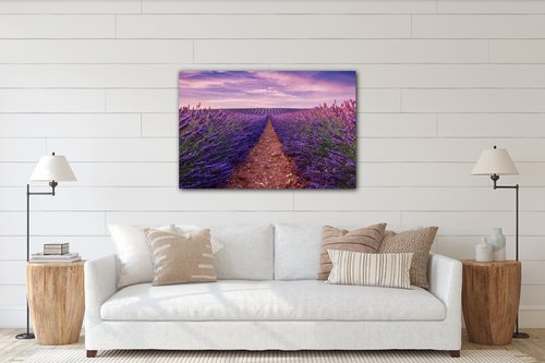 Bild Lavender field - 60 x 40 cm