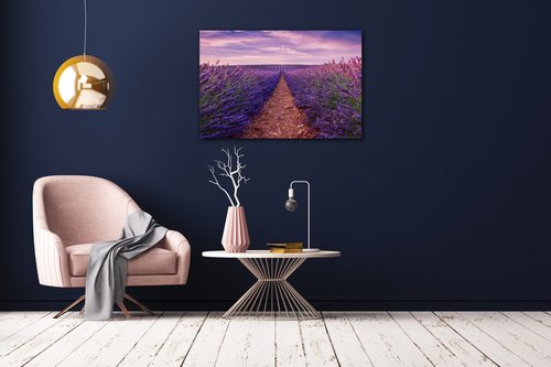 Bild Lavender field - 60 x 40 cm