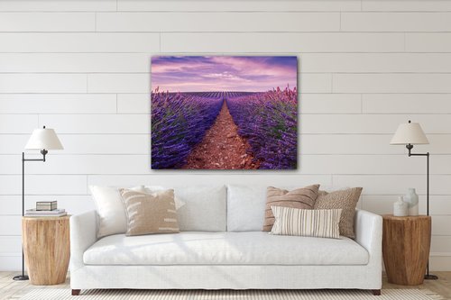 Bild Lavender field - 90 x 70 cm
