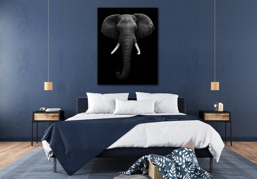 Bild Elephant dark - 70 x 90 cm