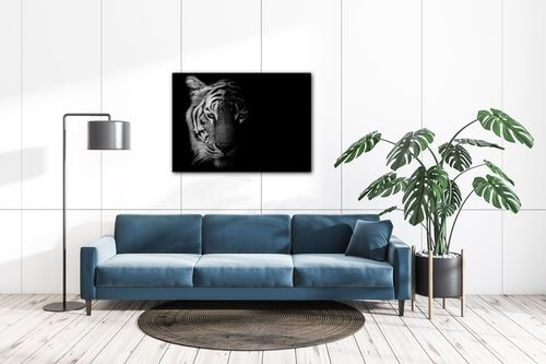 Bild Tiger black and white - 70 x 50 cm