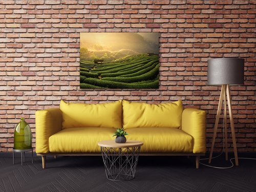 Bild Sunrise On The Tea Plantation - 70 x 50 cm