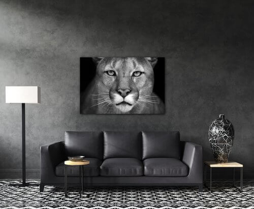 Bild Beast - 60 x 40 cm