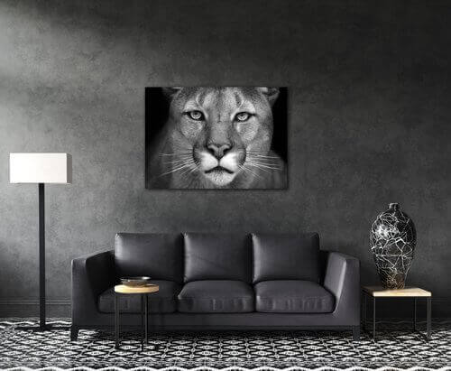 Bild Beast - 70 x 50 cm