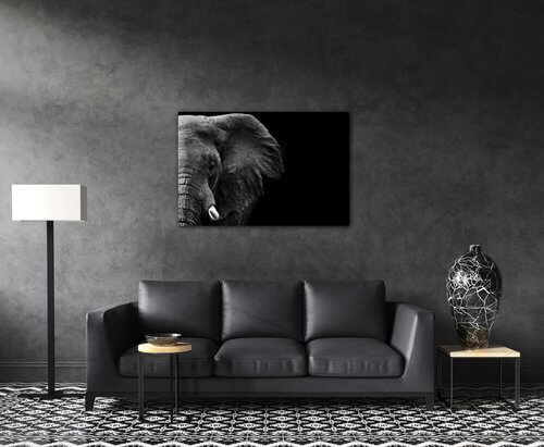 Bild Elephant black background - 90 x 60 cm