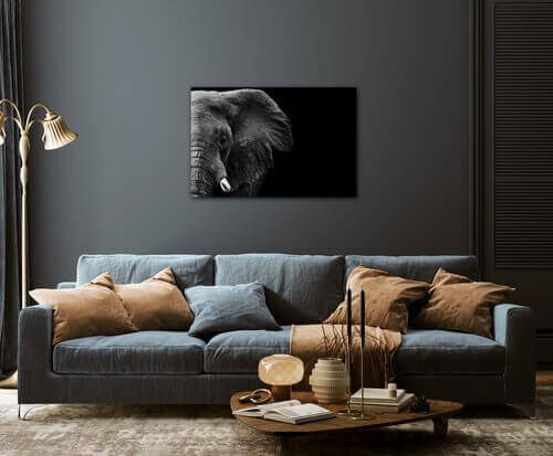 Bild Elephant black background - 90 x 60 cm