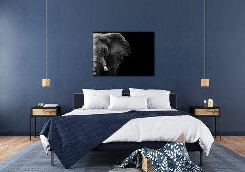 Bild Elephant black background - 70 x 50 cm