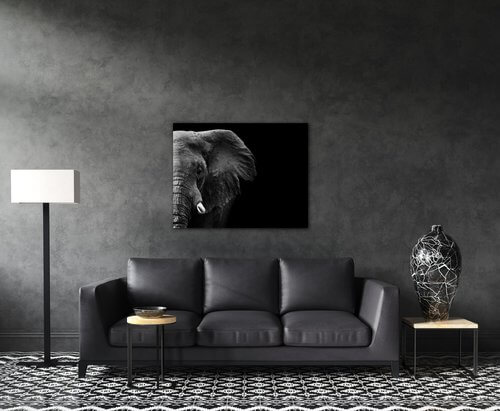 Bild Elephant black background - 90 x 70 cm