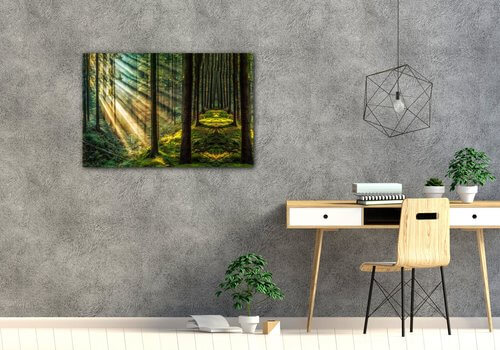 Bild Beautiful forest - 90 x 60 cm